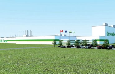 Cavendish Farms