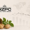 HZPC Revenue Falls Below EUR450 Million As Seed Potato Markets Come Under Pressure