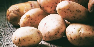 Canadian Potato Production