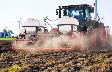 Clarebout Potatoes