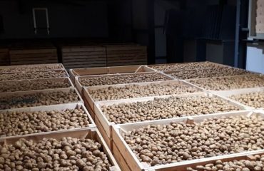 Farm Electronics