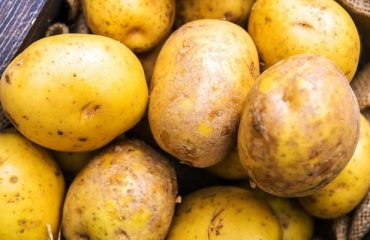 Idaho potatoes