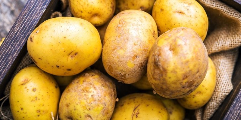 Idaho potatoes