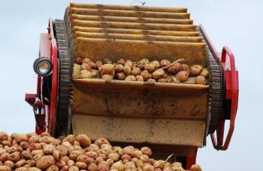 Iverk Produce