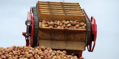 Iverk Produce