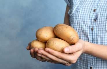vegetable