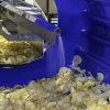 PPM And Key Technology Launch Integrated Potato Chip Processing Line Ahead Of SNACKEX 2026