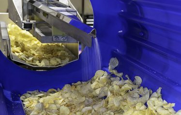 PPM-Key-Potato-Chip-FlavorWright PPM-Key-Potato-Chip-FlavorWright