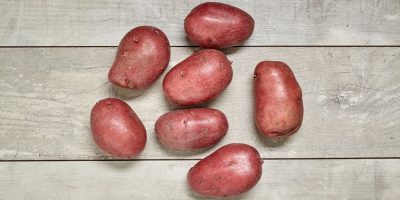 variety