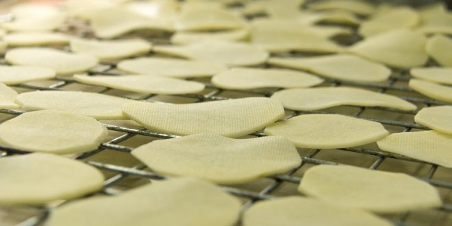 processing plant