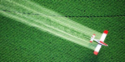 pesticides