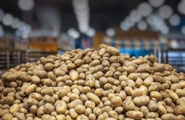 potato
