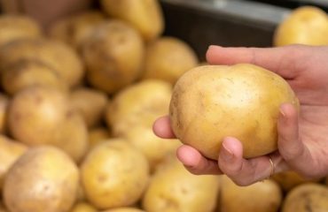 retail potato