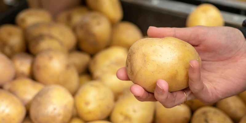 retail potato