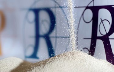 Renaissance yeast photo small Renaissance yeast photo small