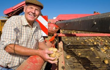 A,Medium,Shot,Of,A,Senior,Farmer,Smiling,At,Camera