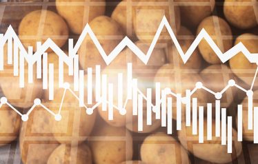 Economic,Crisis,In,The,Price,Of,Potatoes.,Financial,Collapse,,Drop