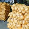 Bagged,Potatoes,,Prepared,For,Transport,And,Sale